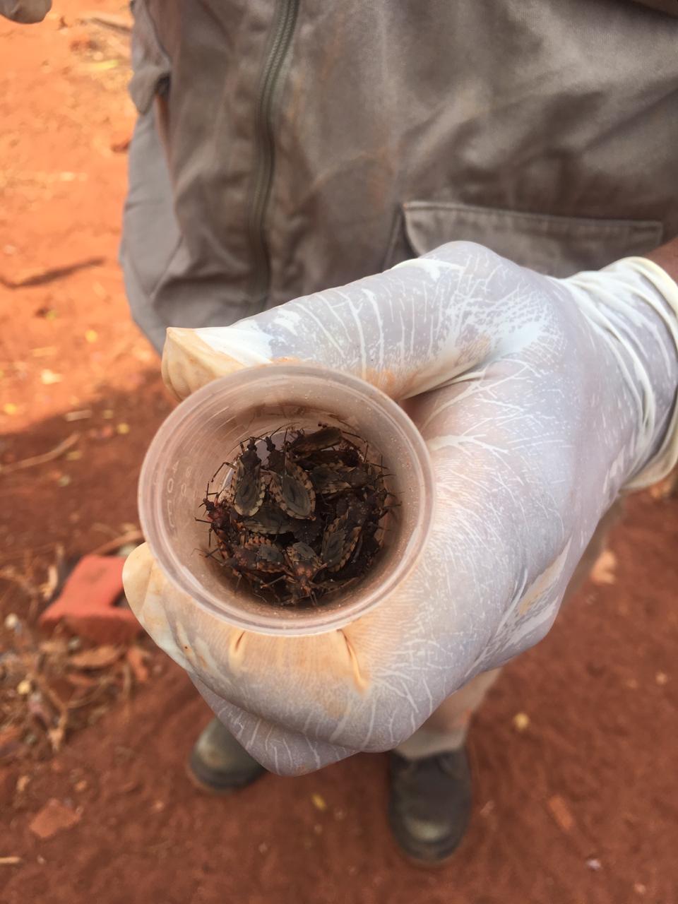 107947324_1374306332780093_7686555196992953681_n